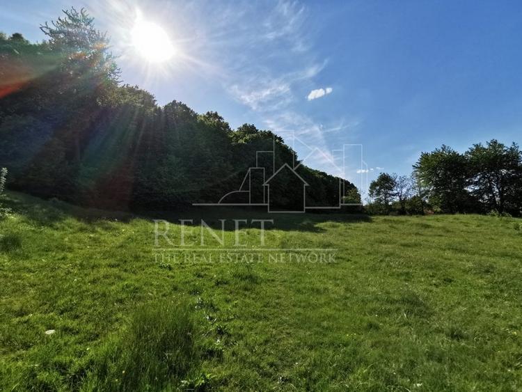 Oportunitate de Investiție - Teren de Basm in Bascov. DIRECT PROPRIETAR. - 5