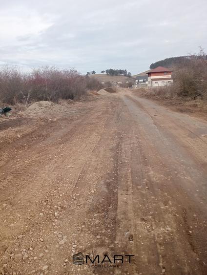 Teren Intravilan 533 mp Sanpetru - 9