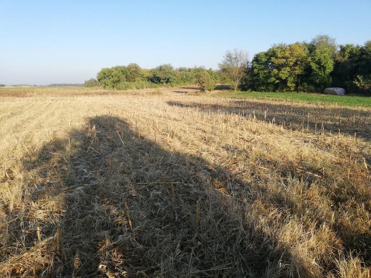 Teren extravilan (agricol Arabil) - 2