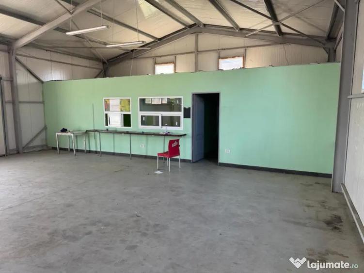 Spatiu comercial 280 mp + 700 mp curte, Filiasi - 10