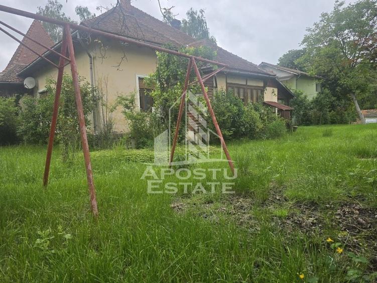 Proprietate cu potential turistic in Gurahont - 27