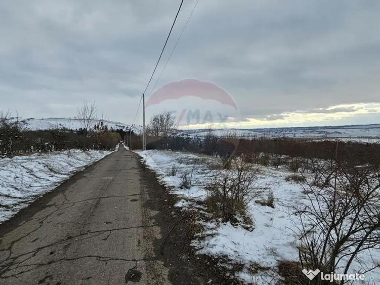 Teren 10,000mp Rada?eni / ?oseaua DN2-E85, jude?ul S... - 3