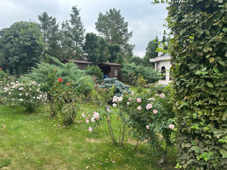 VILA CU IZ PROVENSAL  CU TEREN GENEROS SI PISCINA EXTERIOARA INCALZITA - 52