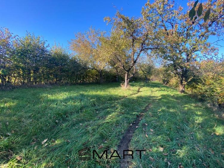 Teren extravilan 3200mp zona Tropinii Vechi - 1