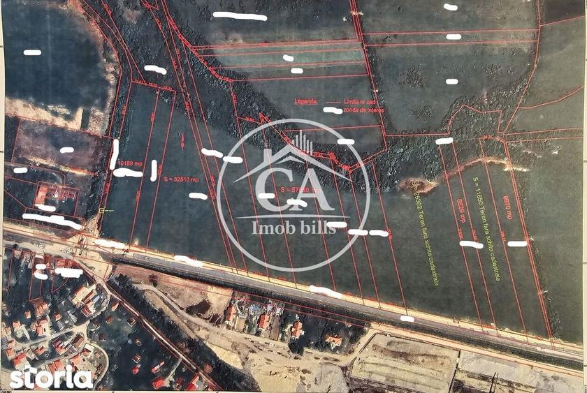 Teren extravilan 150.000 mp de vanzare in Tileagd, Bihor - 3