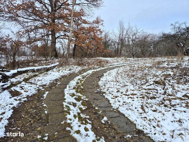 Mosia boiereasca din varf de deal, Scorteni - Prahova, comision 0% - 7