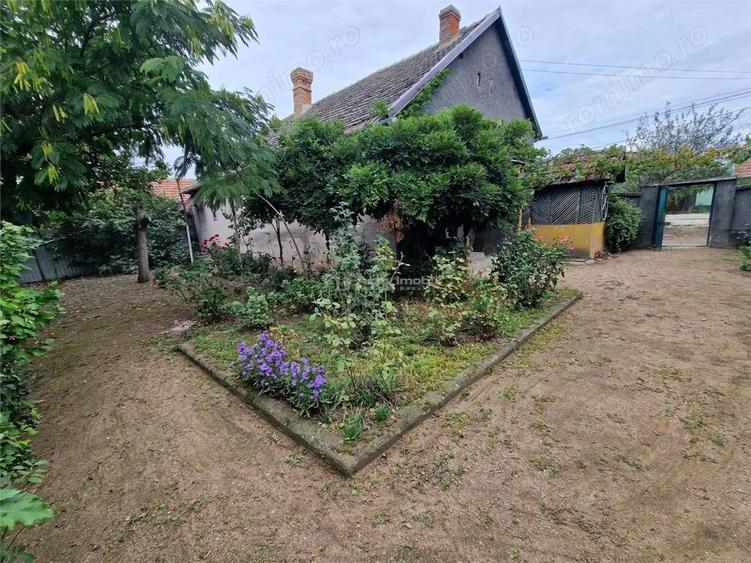 Sosdea 2 Case cu Teren 4657 Mp. - 4