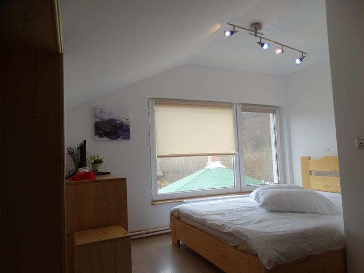 Pensiune agroturistica, pastravarie, 25 km de Brasov -proprietate speciala - 12