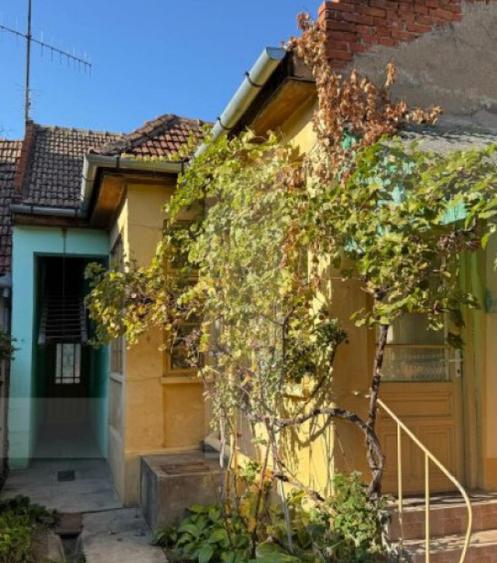 Casa de vanzare in centrul Pancota cu magazin ?i depend - 16