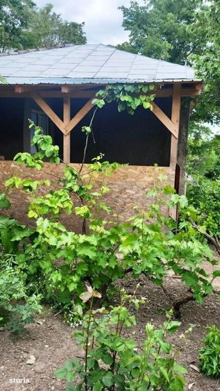 Casa in zona de deal la Zarnesti, la 20 km de Buzau, teren 1535 mp - 2