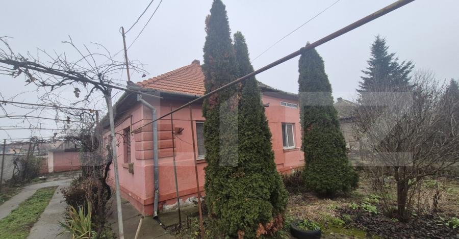 Casa 4 dormitoare, 190 mp, 1306 mp teren, zona Careiului - 10