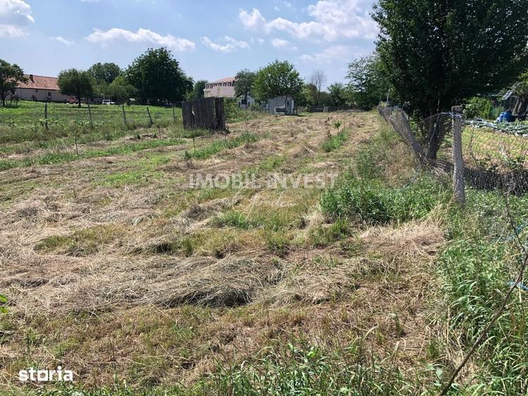 Teren de 1300 mp, în Vințu de Jos