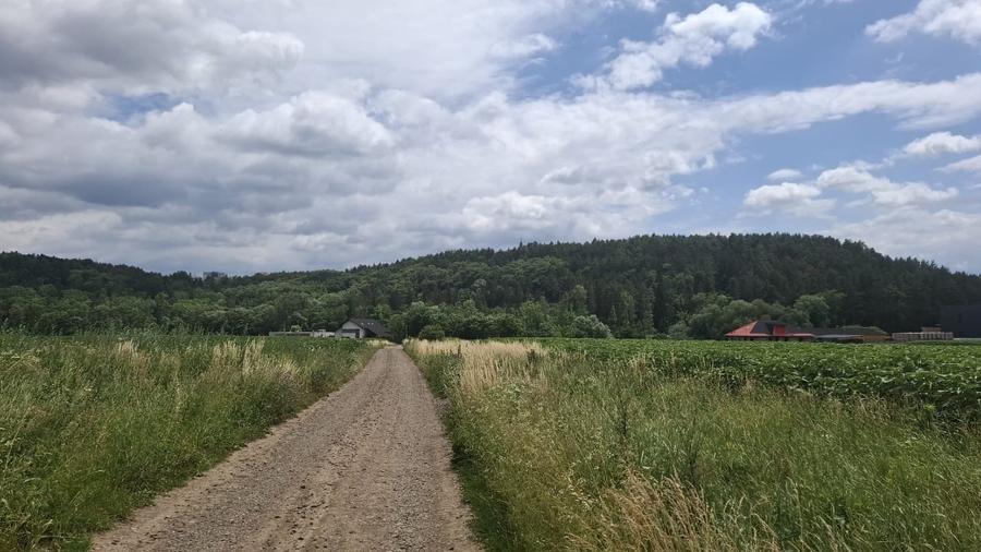 Teren Construcții extravilan de 5000 mp, în Șcheia