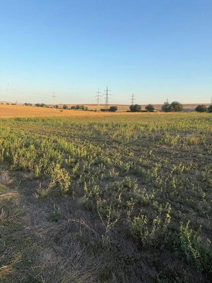 Teren de 4003 mp, în Frecăței