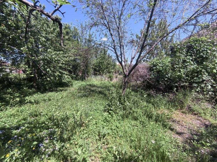 Casă cu 4 camere în Ineu