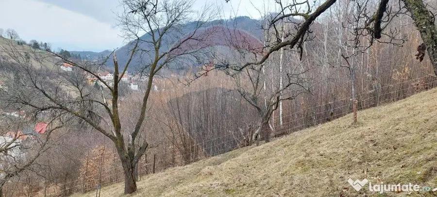 Teren de 2710 mp, în Centrul Istoric