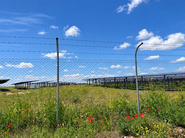 Teren agricol extravilan de 90000 mp, în Iepurești