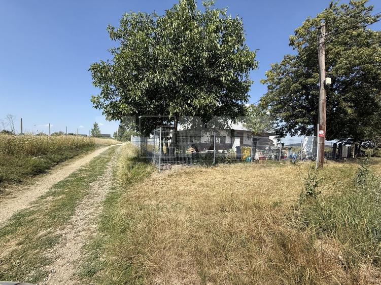 Teren Construcții intravilan de 7719 mp, în Horodnic de Sus