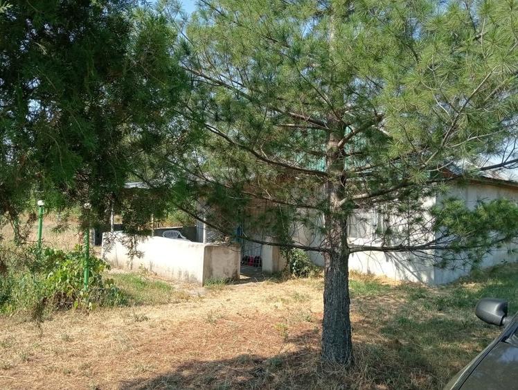 Casă cu 2 camere în Șelaru
