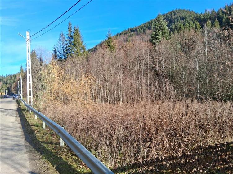 Vand teren in Brates, Neamt, cu iesire la raul Tarcau - 5