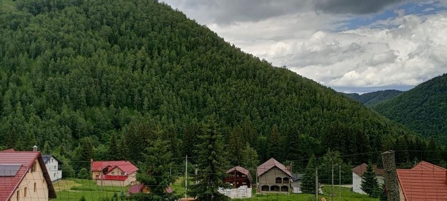 Teren de 500 mp, în Brădățel