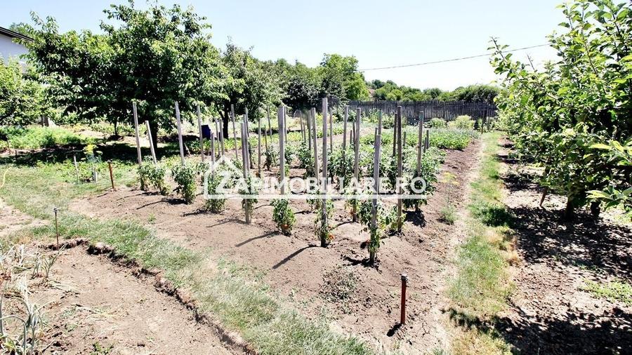 Teren intravilan 1.300 mp.zona Belvedere Targu Mures - 2