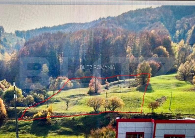 Teren intravilan, Buc?oaia - Frasin, 12000 mp