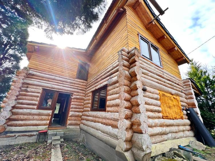 Casa din busteni de vanzare, Podgoria, Oradea - 1