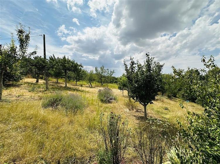 CASA P+M | TEREN 2200 MP | STRADA SOFIEI | ZONA DEALURI - 24