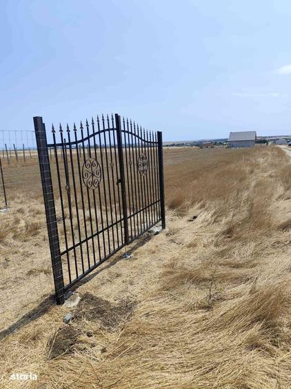 Vanzare teren Techirghiol - 7