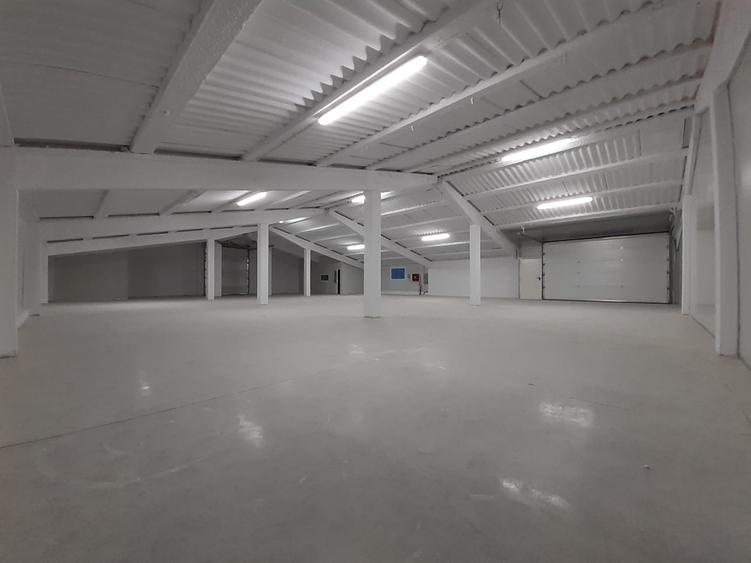 Hala de inchiriat suprafata 300 mp Gilau - 3