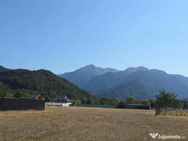 Teren Intravilan 1000mp Ra?nov Glajarie, Curent la poarta, Acte 2026 - 3