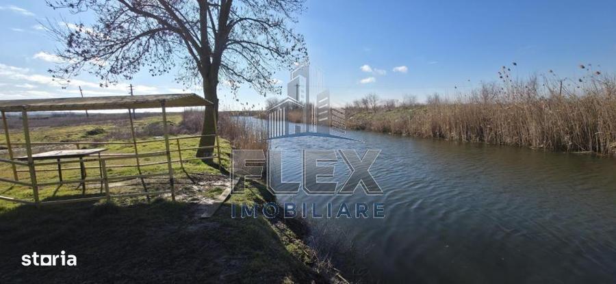 Vanzare Teren Delta Dunarii 3.83 Ha - Oportunitate - 4
