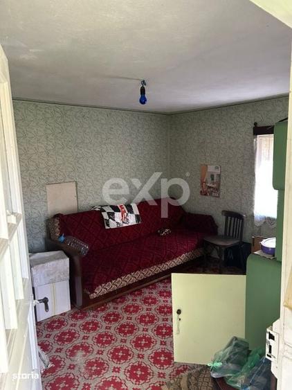 Casa la tara cu teren 3940 mp si livada zona linistita - 9