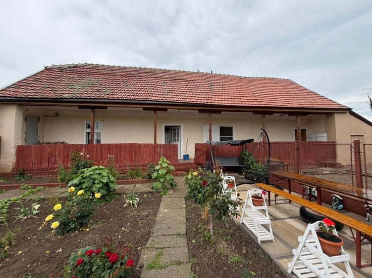 Casa cu teren de 3.000 mp in Herneacova - 4