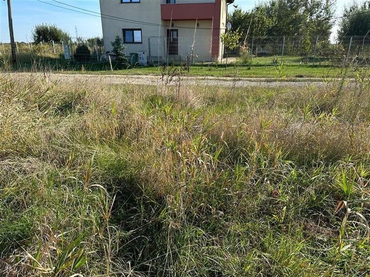 Teren Casa Mosnita Noua - 1