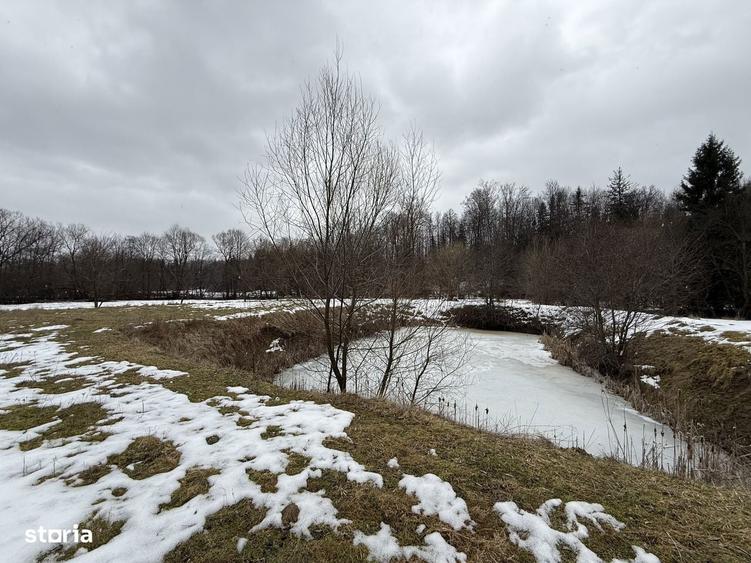 Teren extravilan | Horodnic De Sus | 3600MP - 10