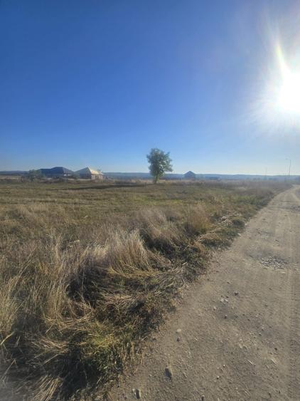 Teren 1000mp ,la intrarea in Filiasi - 4