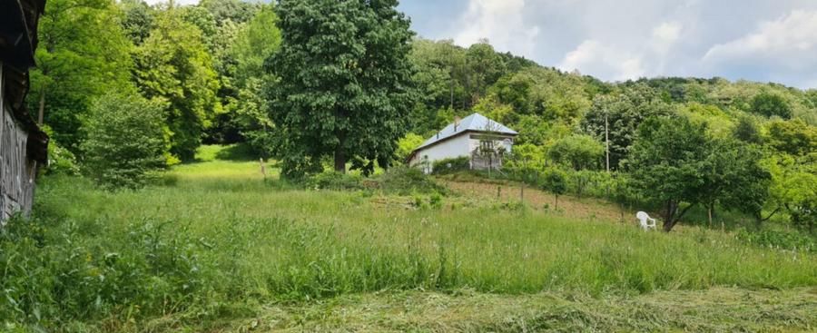 Teren 7000mp Pucioasa - Zona Pitoreasca - 1