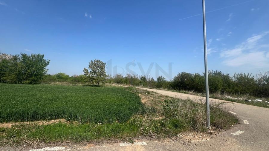 REL4000945 Teren de vanzare in Snagov - 4