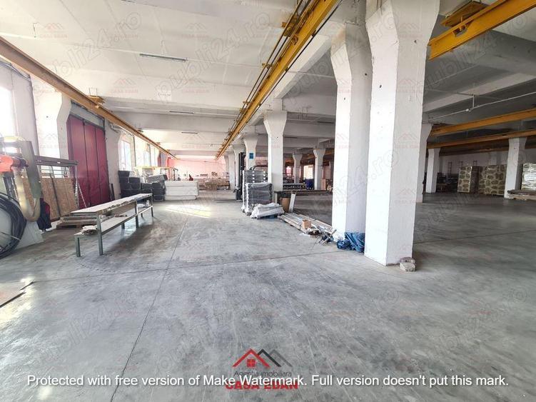 Hale noi in Baicoi, Ph--13.000mp--3e - 10