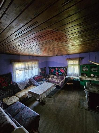 Casa / sura Trestia jud.MM, in suprafata de 116mp / 4000mp de teren - 13