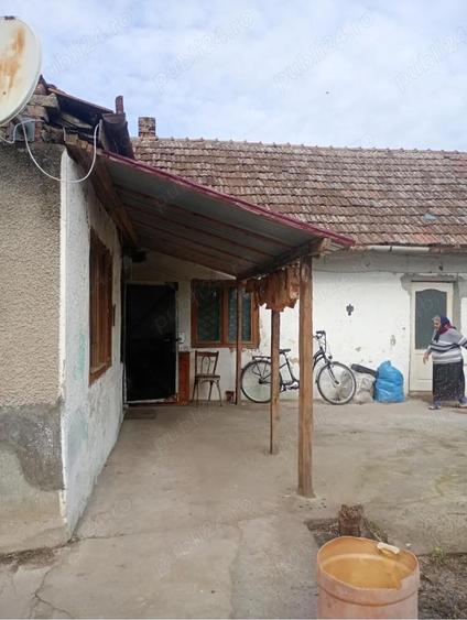 Vand casa in Lenauheim - 4