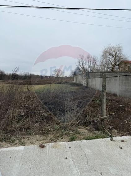 Teren 500mp Vladiceasca / None - 3