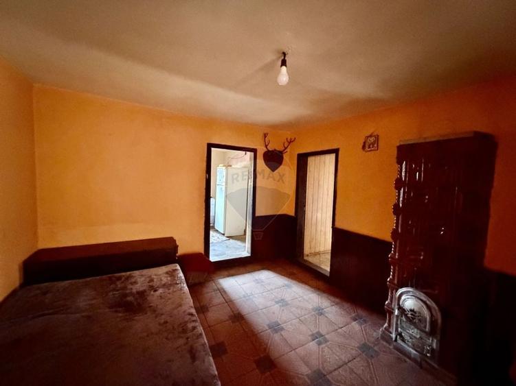 Casă cu 4 camere si teren 7727 mp Blidari - 18