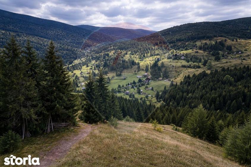 Oaza de lini?te in inima Apusenilor teren 6.500 mp Arie?eni - 2