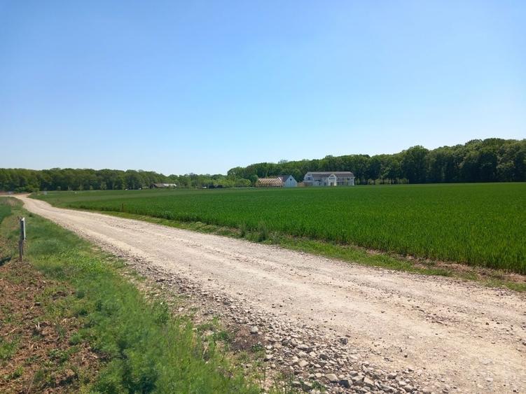 Teren intravilan 1850m - 2