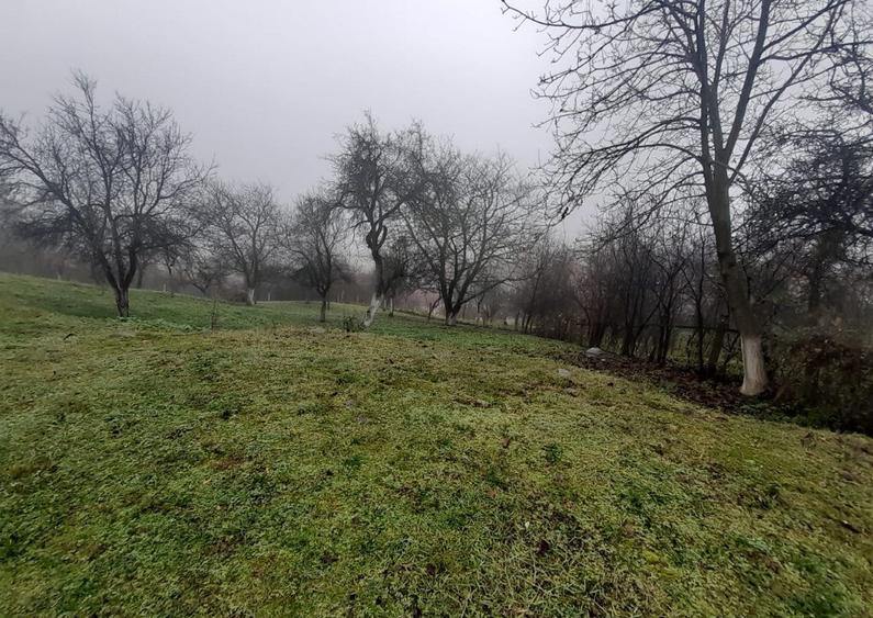 Baia Sprie, casa caramida, 9,4 ari teren - 6