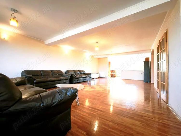 Proprietate rara,langa drumul judetean,Pecica - 5