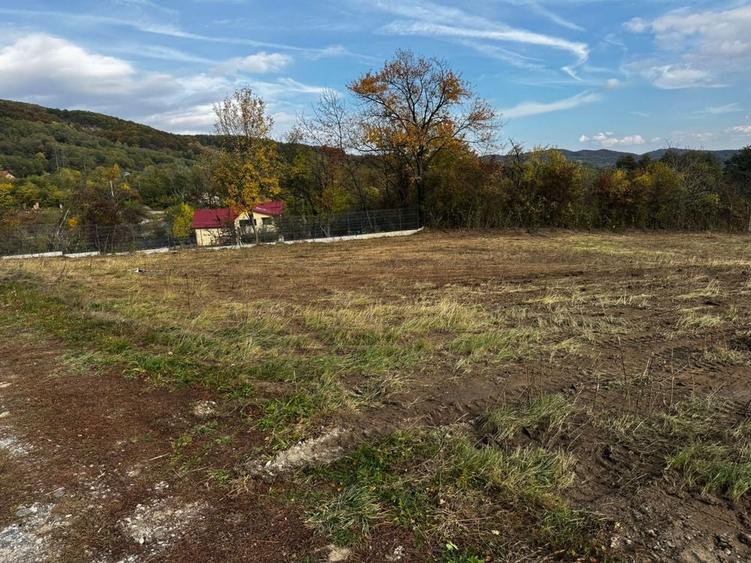 Vand 2 loturi de teren la Vladesti - 5